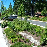 Photo of alternative street edge project