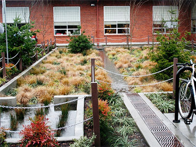 Bioretention systems can be designed to both detain and treat stormwater.